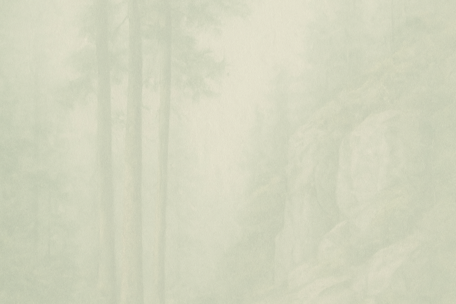 Consistent Vertical Background for Safety Section