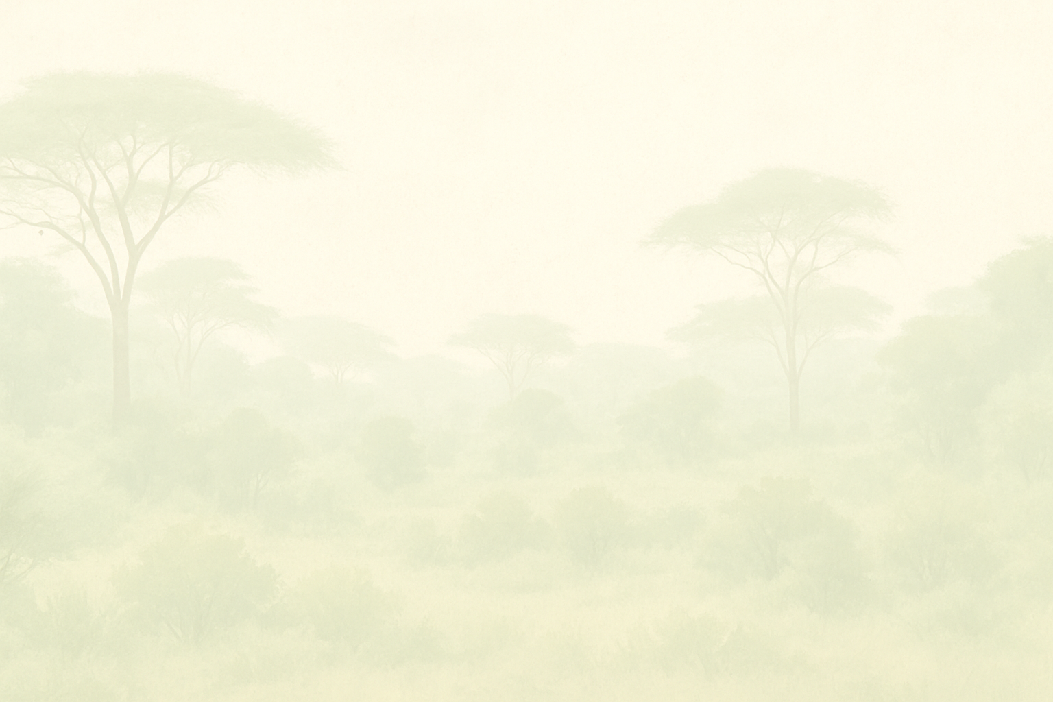 Subtle Nature Background for Cave Tour Info