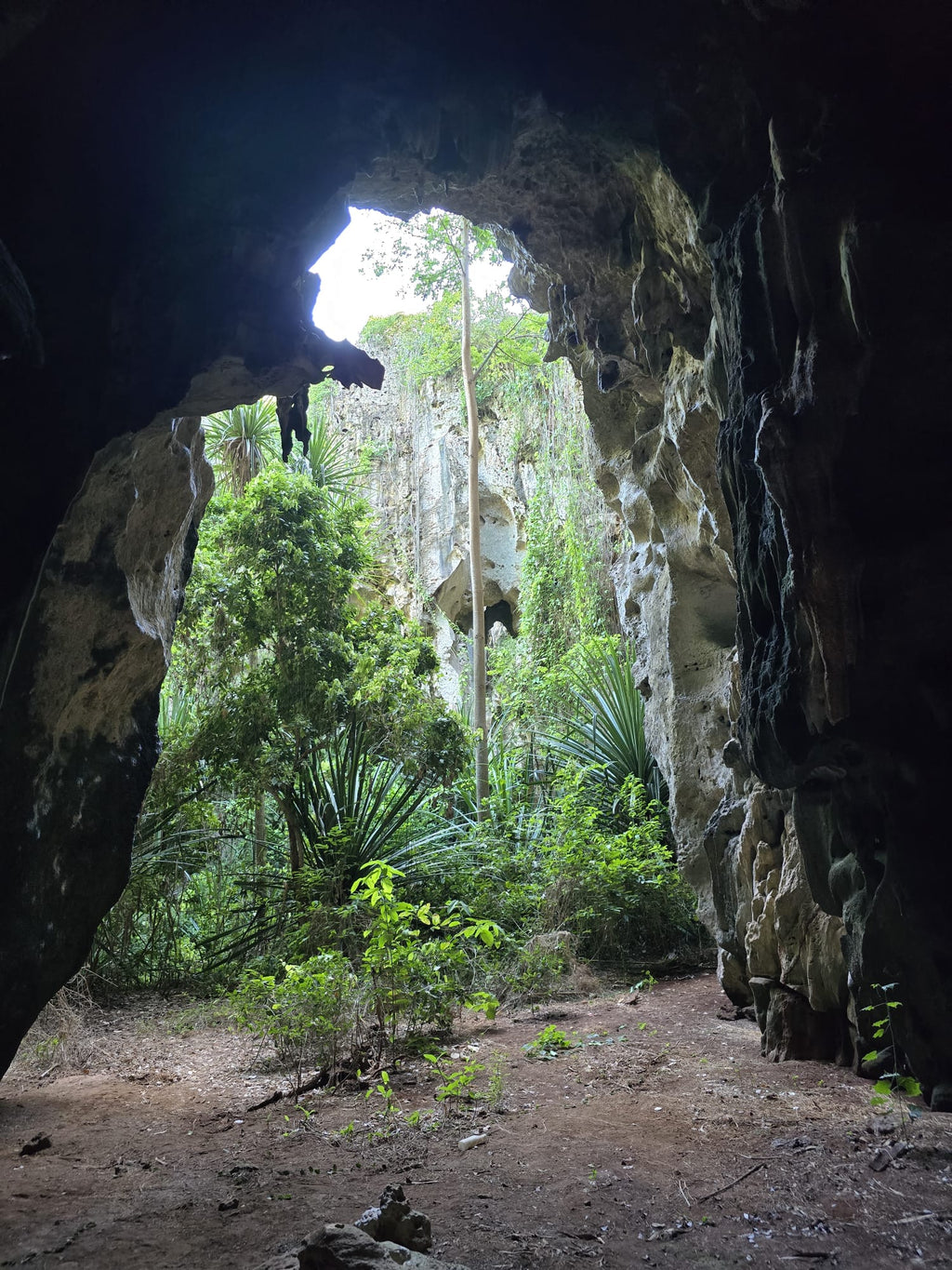 Panga ya Saidi Tour - Adult