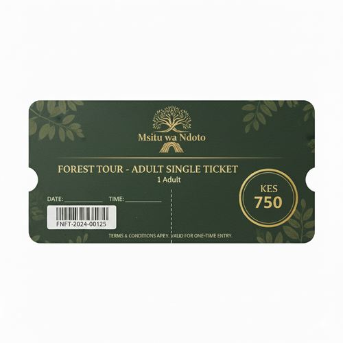 Forest Adventure - Adult Ticket
