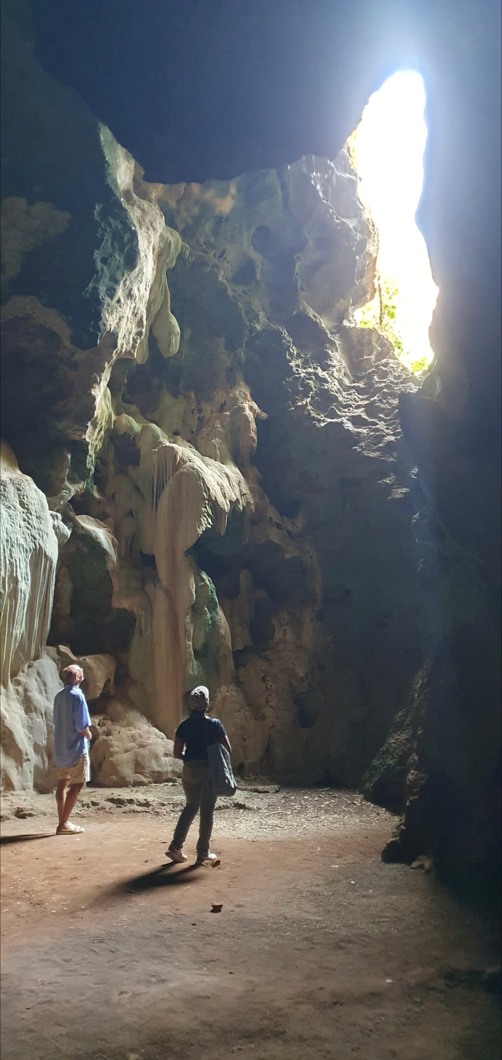 Panga ya Saidi Tour - Adult