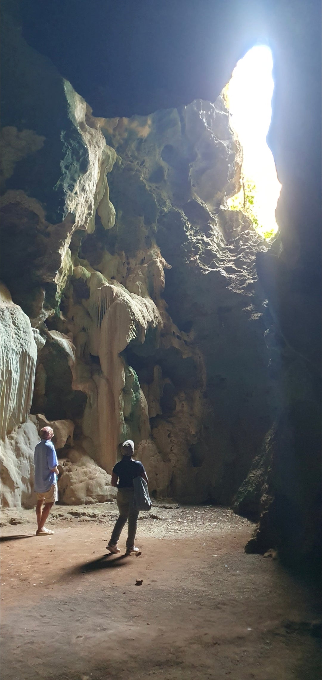 Panga ya Saidi Tour - Adult