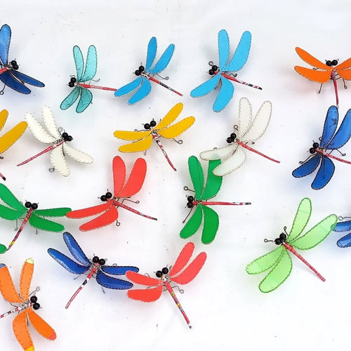 Large Dragon Fly