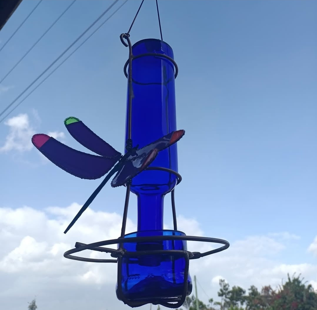 Large Dragon Fly