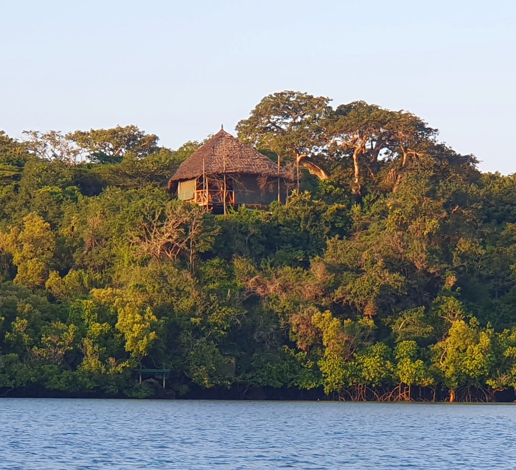 Magical Storytelling Dinner