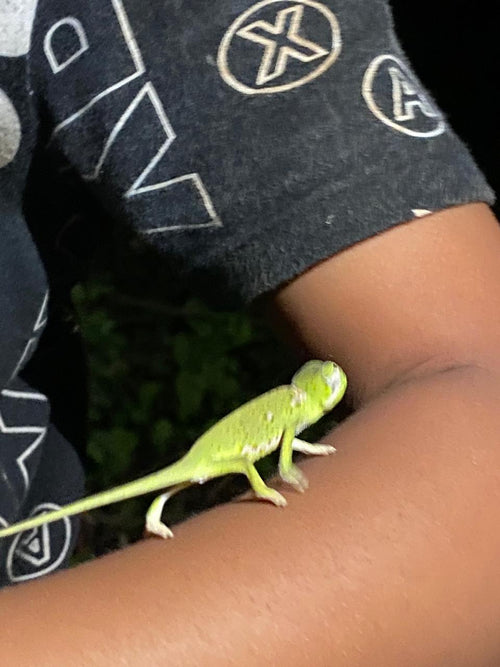 Children cave ticket (8+)