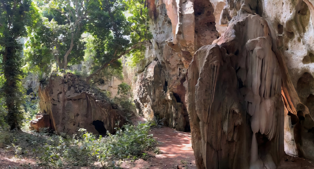 Panga ya Saidi Tour Child (8-15)