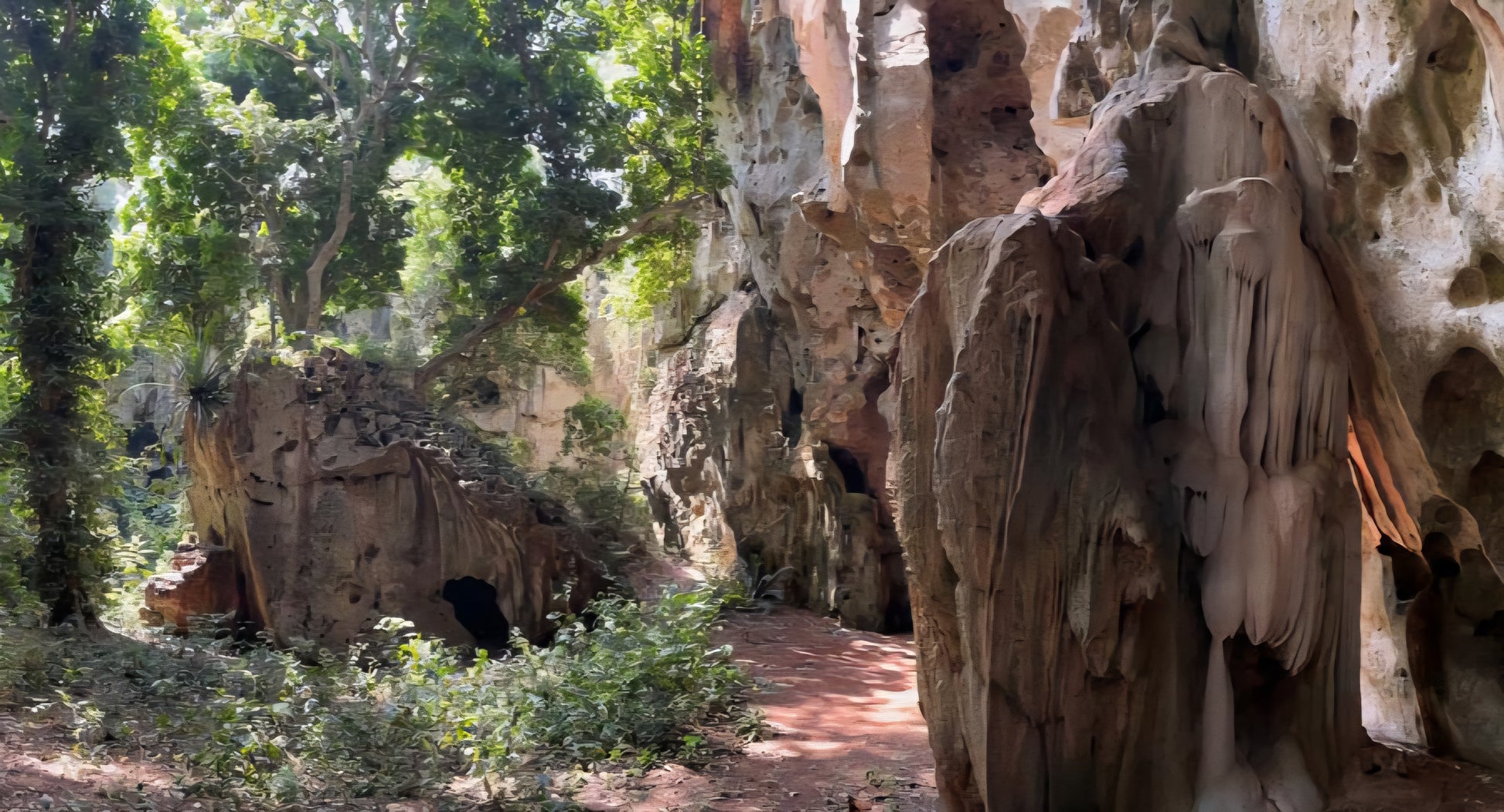 Panga ya Saidi Tour Child (8-15)